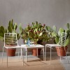Sedia SUMMER, Scab Design