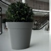 Vaso ARIA, LYXO