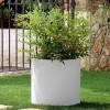 Vaso cilindro LOTO, LYXO