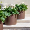LOTO cylinder pot, LYXO