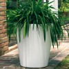 LOTO round pot, LYXO