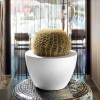 Genesis round bowl, VECA