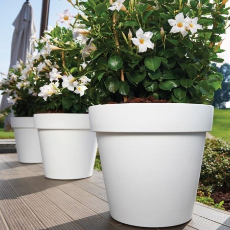 ARIA pot, LYXO