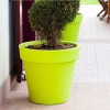 ARIA pot, LYXO
