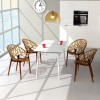 Sedia CRYSTAL, Siesta Exclusive