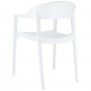 CARMEN chair, Siesta Exclusive