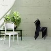 BO chair, Siesta Exclusive