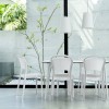 BO chair, Siesta Exclusive