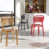 Sedia BEE, Siesta Exclusive