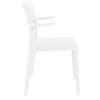 PLUS chair, Siesta Exclusive