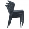 DAYTONA chair, Siesta Exclusive