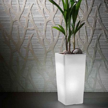 CLOU square cache-pot vase with light, VECA