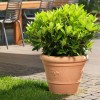 SCALLOPED double border vase, VECA
