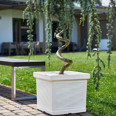 Vaso quadrato MILLERIGHE, VECA