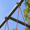 LISA SWING, Scab Design