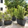 TYLE flower box, VECA