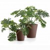 LOTO round pot, LYXO