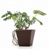 LOTO square pot, LYXO