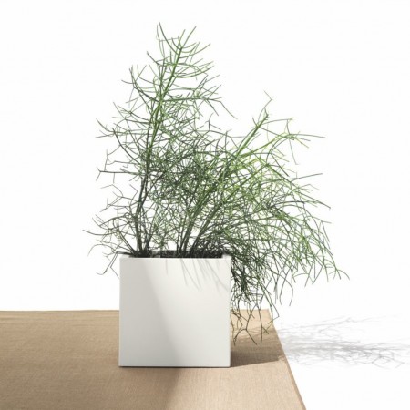 LOTO cube pot, LYXO