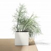 Vaso cubo LOTO, LYXO