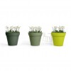 ARIA pot, LYXO