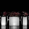 NEBULA FLOWER-BOX WITH LIGHT, LYXO