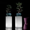 DOT stool, LYXO