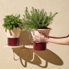MIMOSA plant holder, Scab Design