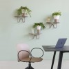 MIMOSA plant holder, Scab Design