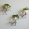 MIMOSA plant holder, Scab Design
