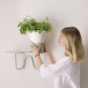 MIMOSA plant holder, Scab Design
