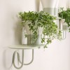 MIMOSA plant holder, Scab Design