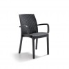 INDIANA chair, B:Rattan, BICA (full pallet)