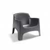 IBIZA armchair, B:Design, BICA (full pallet)