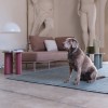Back cushion for LISA Lounge, Swing and FLAP collection, Scab Design